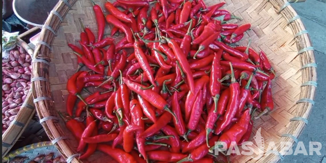 harga pangan