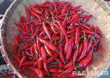 harga pangan