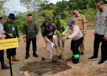 Hari Gerakan Sejuta Pohon Sedunia, Yuk Kenali Forest Restoration Project: SDGs Together!