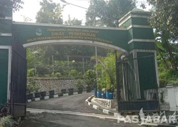 Universitas Widyatama Sosialisasi Sistem Informasi Knowledge Management