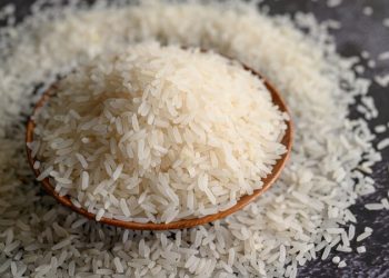 harga pangan
