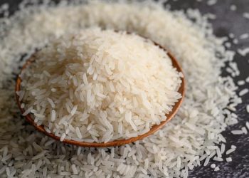 harga pangan