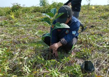 Belantara Foundation Kampanyekan Program Restorasi Lahan Gambut melalui Agroforestri di Hari Lahan Basah Sedunia
