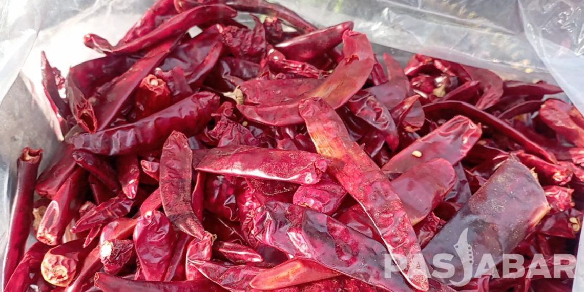 Cabai kering mahal