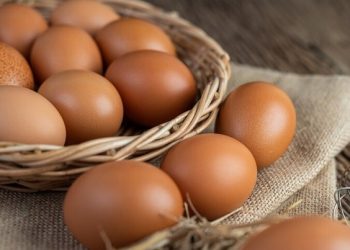 Daging dan Telur Ayam Akan Mengalami Kenaikan Jelang Lebaran