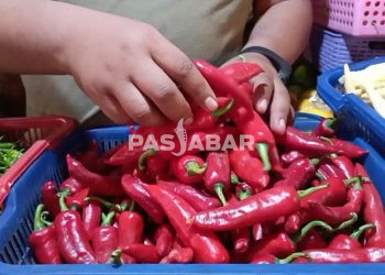 Jelang Lebaran Harga Cabai Merah Tembus 80 Ribu Rupiah