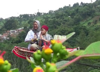 Cobain Yuk! Wisata Ekstrem Hutan Pinus di Dago