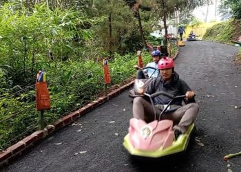 Gokar Gravity yang Menguji Adrenalin