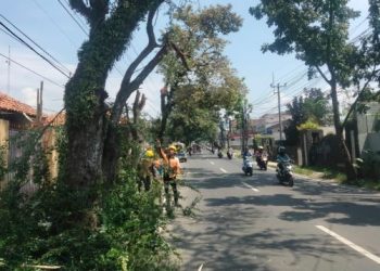 Polresta Bandung Pangkas Pohon di Kawasan Soreang yang Halangi Pengendara   