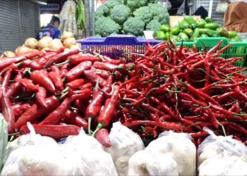 harga pangan