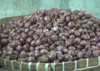 harga pangan