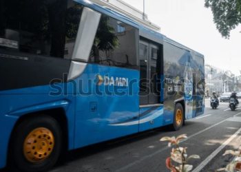 bus damri