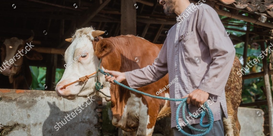 hari raya idul adha