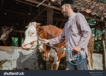 hari raya idul adha
