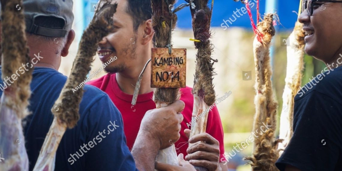 daging hewan kurban