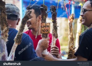daging hewan kurban