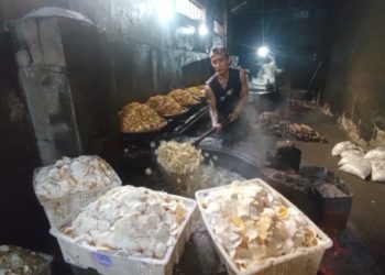 harga minyak goreng