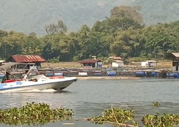 Seorang Remaja Tenggelam Tersengat Listrik Keramba Jaring Apung (KJA)