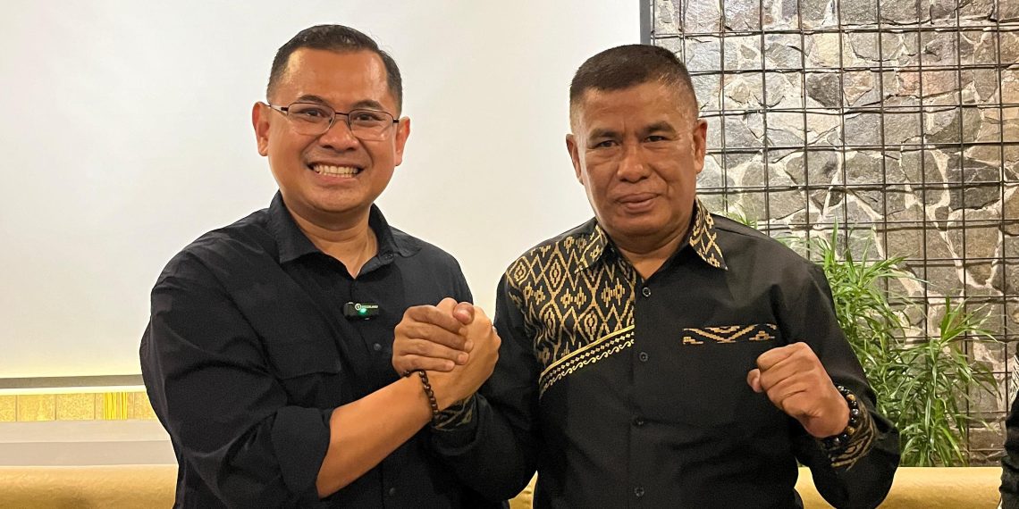 Arfi Rafnialdi