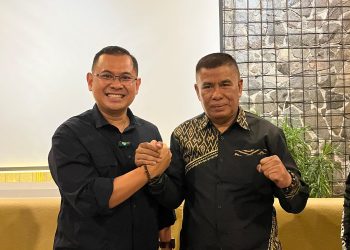 Arfi Rafnialdi