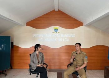 PESONA