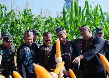 Buka Gebyar Perbenihan, Wamentan Sudaryono Genjot Akselerasi Swasembada Pangan