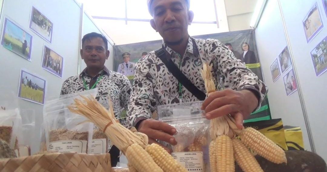 makanan sulawesi tenggara