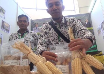 makanan sulawesi tenggara