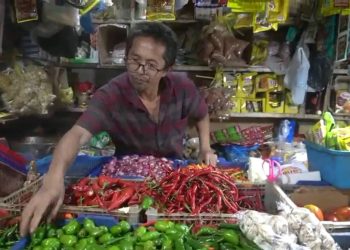 harga pangan