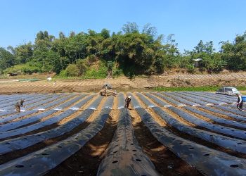 waduk saguling