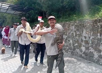 hari kemerdekaan