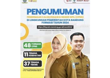 CPNS 2024