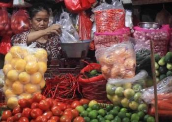 harga pangan