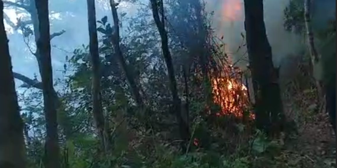 kebakaran lahan
