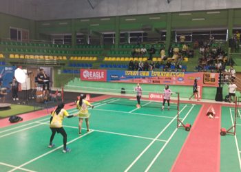 eagle fun badminton