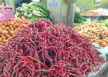harga pangan