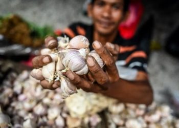 harga pangan