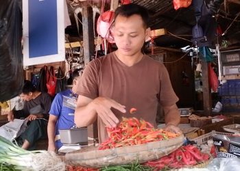 harga pangan
