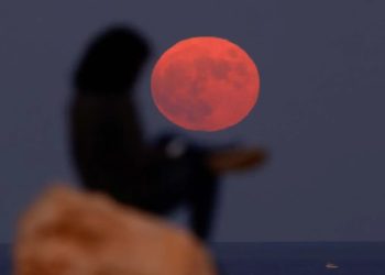 hunter moon
