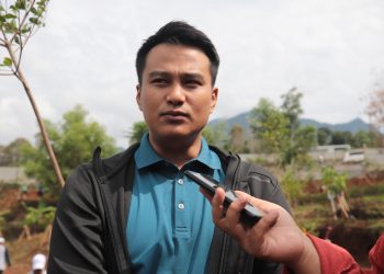tps alternatif