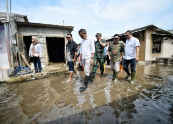 bantuan bencana