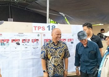 ilham habibie