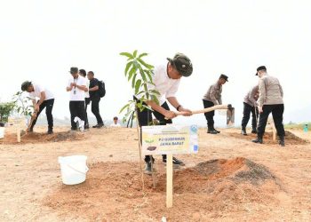 pengelolaan tata ruang