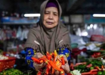 harga pangan