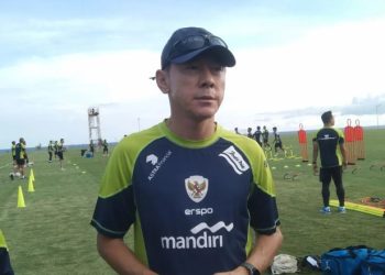 pemain timnas indonesia