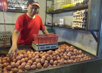 harga sembako