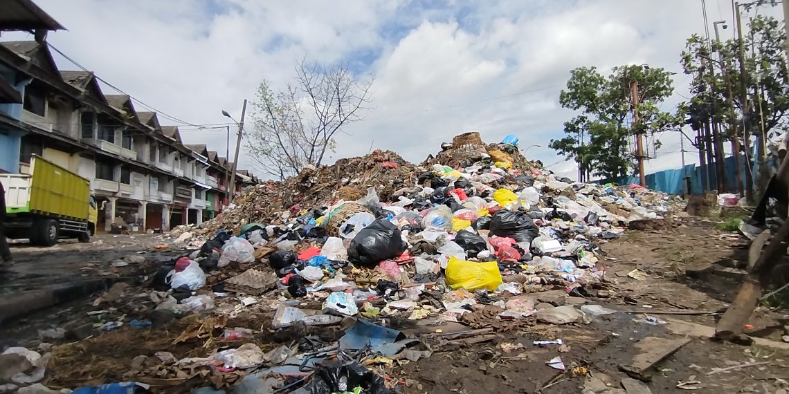 sampah caringin