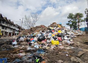 sampah caringin