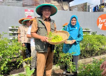 lahan bandung