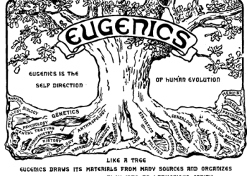 eugenika